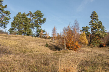 Fototapeta premium Das Naturschutzgebiet Schlangenberg -Stolberg Rhld. 