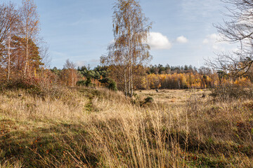 Obraz premium Das Naturschutzgebiet Schlangenberg -Stolberg Rhld. 