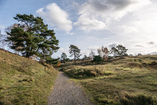 Das Naturschutzgebiet Schlangenberg -Stolberg Rhld. 