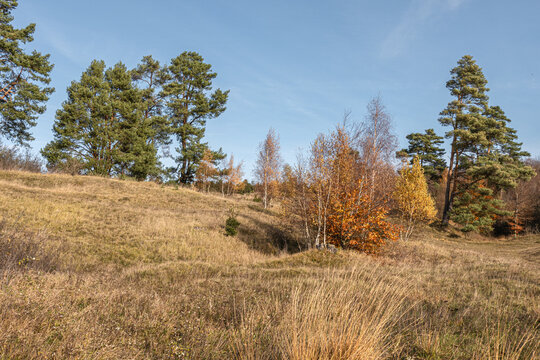 Das Naturschutzgebiet Schlangenberg -Stolberg Rhld. 