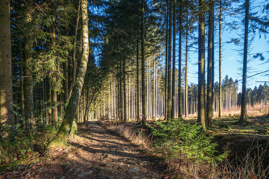 Die wundersch&ouml;ne Landschaft am Schleebachgraben in Roetgen/Eifel