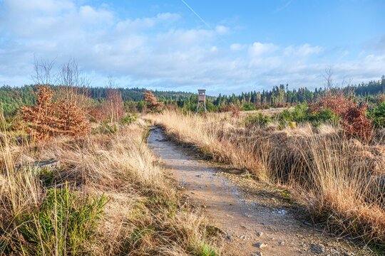 Die wundersch&ouml;ne Landschaft am Schleebachgraben in Roetgen/Eifel