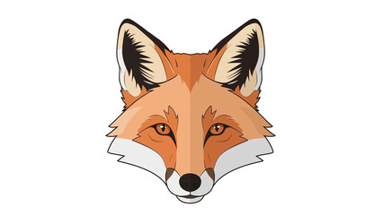 Close-up of a Red Fox Face with Alert Eyes and Detailed Fur Texture