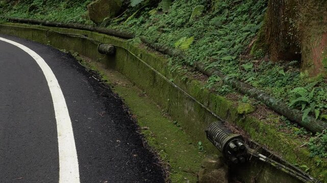 Static shot of a curved forest road with a mossy drainage channel in Xitou Nature Education Area, Nantou County, Taiwan, surrounded by cedar woodland and lush green understory.