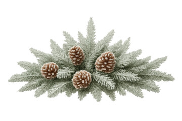 Frosted pine branches with conifer pinecones for winter