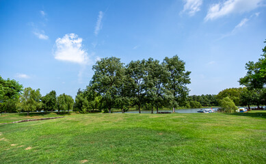 Obraz premium Serene Summer Park with Lush Greenery and Blue Sky