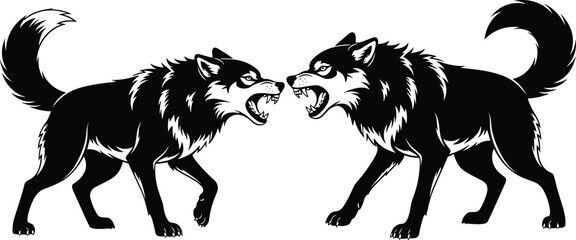 Black and white vector illustration of two aggressive wolves growling and facing each other for wildlife nature mascot logo and predatory animal conflict design concepts © MstAnufa
