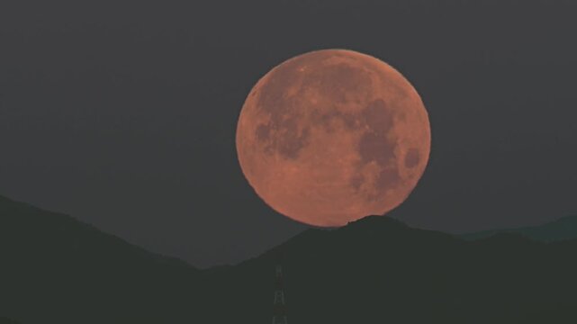 Tokyo,Japan - February 1,2026: Moonset of the complete full moon. Recorded at 7AM, February 2, 2026 in Tokyo.