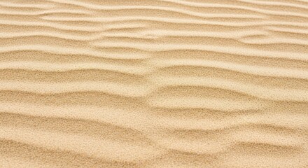 Wavy patterns form on the surface of golden desert terrain under bright light