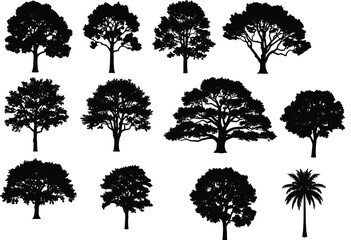 Fototapeta premium Collection of black tree silhouettes and palm tree shapes isolated on white background, natural forest elements for landscape design, eco projects, and creative graphic resources