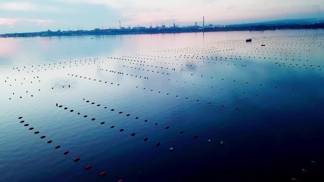 Taranto, Italy, city view, harbor, industrial city, sea city, mussel culture, Ilva factory, panorama, landscape, aerial shot, travel, travelling, vacation, holiday, tourist, tourism, high angle, cinem
