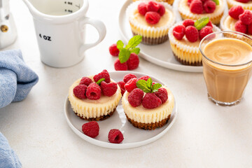 Mini cheesecakes topped with fresh raspberries on a serving plate