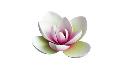 Pink and Green Magnolia Flower