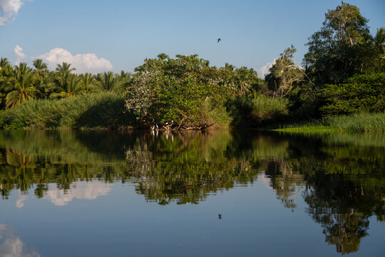 Troncones Guerrero M&egrave;xico 