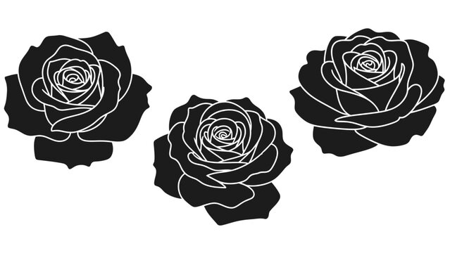 Black Roses with White Outline Flowers.