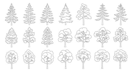 Collection of various tree outlines and silhouettes, including coniferous and deciduous types, presented as line art illustrations.