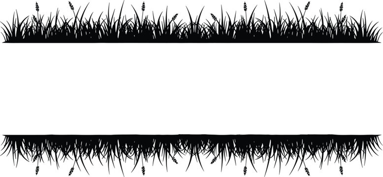 Grass border silhouette illustration with wild meadow plants framing empty space natural horizontal divider black vector design