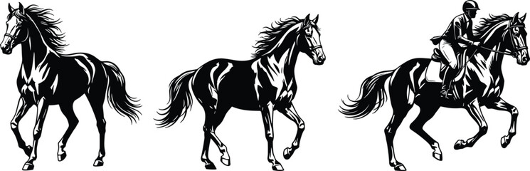 Horse riding and galloping silhouette collection featuring equestrian sport jockey rider dynamic equine motion black vector illustration © Mohammad