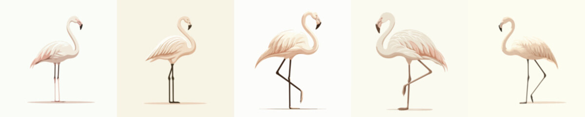 Obraz premium Minimalist Cream Flamingo Illustration Isolated on White Background