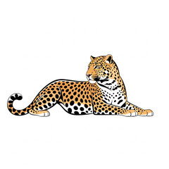 Fototapeta premium leopard on a white background
