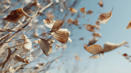 Golden leaves floating in the wind, a serene scene. Autumn ambiance capture in the sky