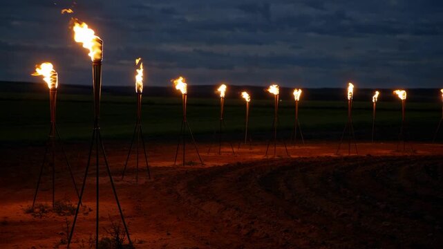 Row of Burning Fire Torches in a Dark Field at Night or Dusk