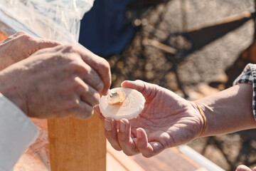 お菓子の上にハチミツを乗せているシーン
