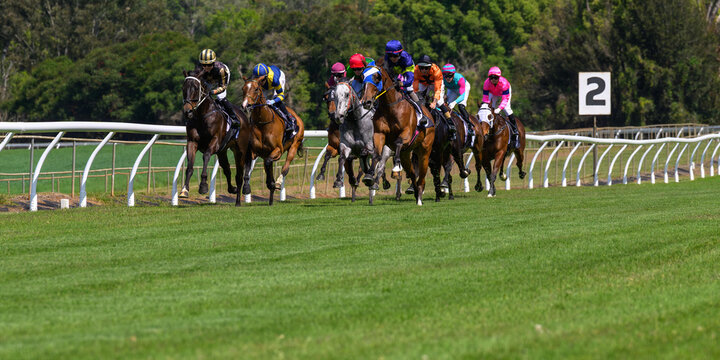 Group of jockeys in colorful silks racing horses around turn on grass track. Perfect for sports betting companies, racing publications, and equestrian event promotion.