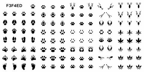 Fototapeta premium Collection of animal footprints and paw prints in a grid pattern