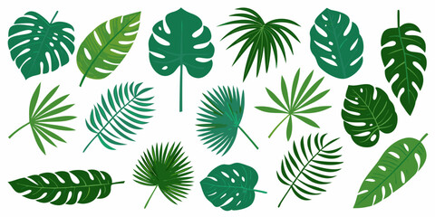 A collection of diverse tropical leaves in varying shades of green © Sanjoy