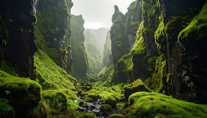 A serene green canyon with mossy cliffs and a stream