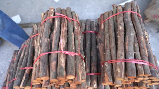 Close up of hands tying bundles of wooden sticks with red plastic rope