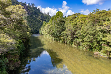 Obraz premium Tranquil view of the clear river flowing through the lush green forest in Broken Hills, Hikuai, Coromandel Peninsula, New Zealand.. The sun shines on the water.