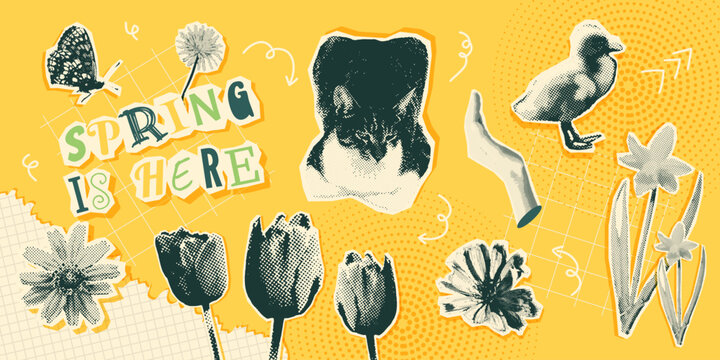 Spring element set with plants, flowers, cat and more. Seasonal botanical collection in vintage collage halftone style. Vector illustration elements for posters, backgrounds, web and digital projects