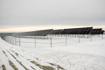 Solar panels mounted on metal structures stand on a snowy meadow beside the ocean in Canada. Clean energy technology placed in a cold coastal environment with sea views.