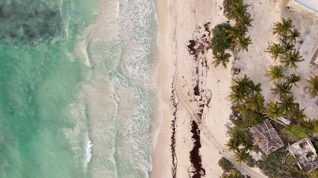 Top-down aerial drone of a tropical beach and turquoise ocean coastline in Tulum, Mexico. White sand, gentle waves, paradise scenery for travel and nature projects.