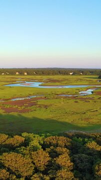 Vertical drone aerial of coastal marshland with river-like bends and tidal creeks cutting through bright green grasses. Peaceful nature scene in portrait orientation, cinematic 4K b-roll.