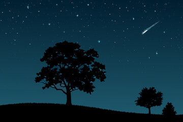 Nighttime scene featuring a shooting star above silhouetted trees © Juel