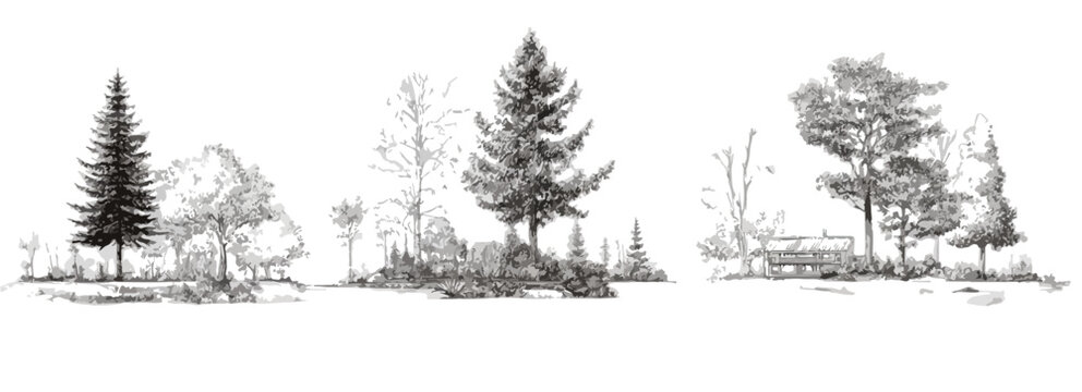 Zeichnung von verschiedenen B&auml;umen und Pflanzen in einer Landschaft, transparent