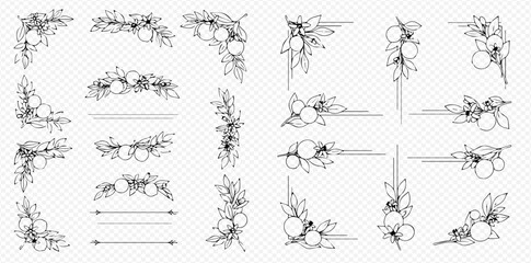 Obraz premium Set of hand-drawn floral borders and corners with leaves and berries, perfect for wedding invitations and decorative elements.