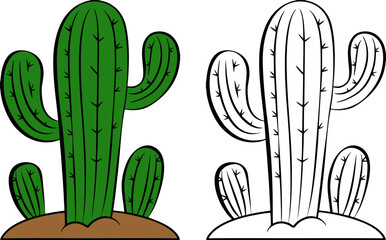 Large Desert Saguaro Cactus Plant