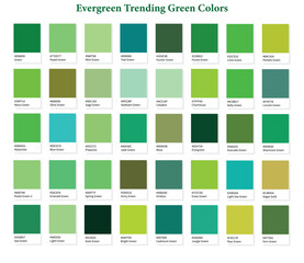 Naklejka premium Evergreen Trending Shades of Green Colors with Hex Codes and Names