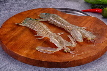 Raw mantis shrimps for cooking