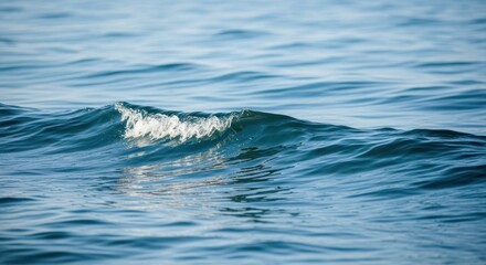 Obraz premium Ocean waves serene blue water surface with gentle ripples and white foam