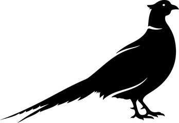 Obraz premium Pheasant silhouette vector illustration