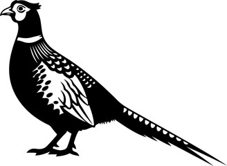 Obraz premium Pheasant silhouette vector illustration