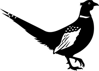 Obraz premium Pheasant silhouette vector illustration