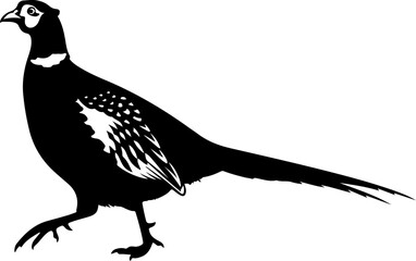 Obraz premium Pheasant silhouette vector illustration