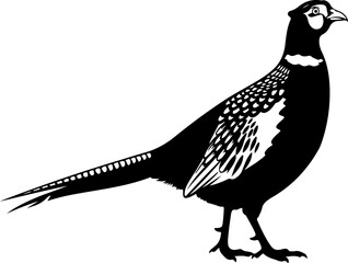 Obraz premium Pheasant silhouette vector illustration