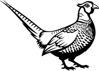 Obraz premium Pheasant silhouette vector illustration